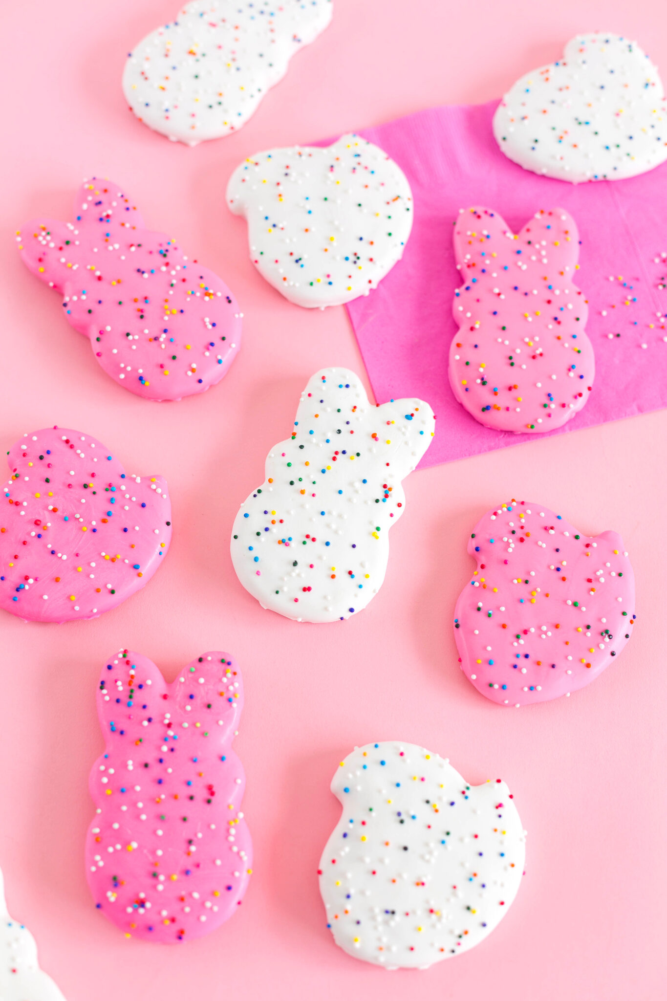 Easter Frosted Animal Cookies – Aww Sam